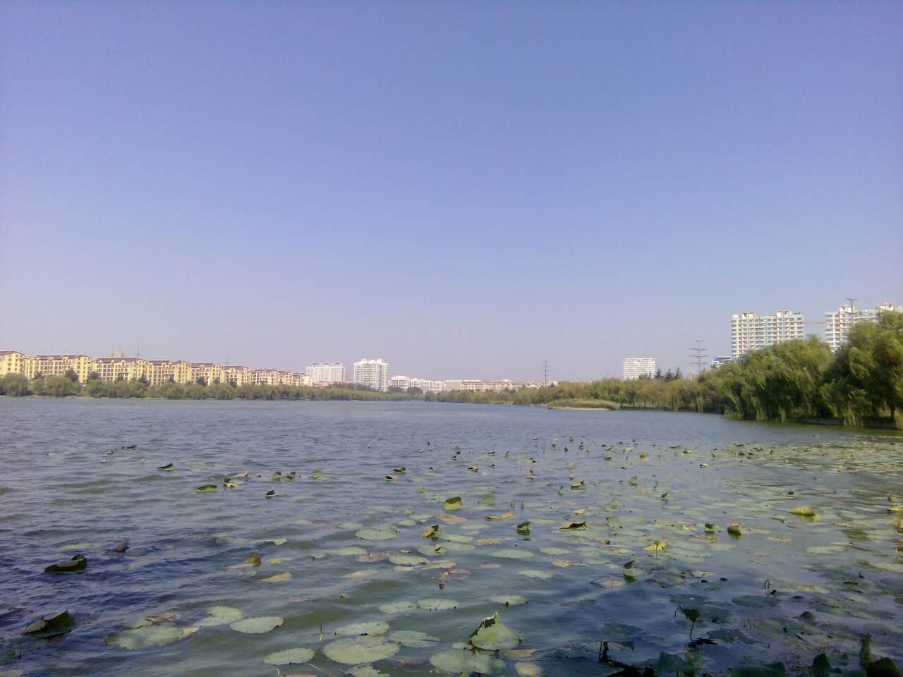 QQ图片20161207142140.jpg
